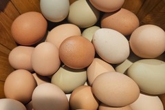 Selling with online payment: Fresh unwashed eggs