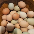 Selling with online payment: Fresh unwashed eggs