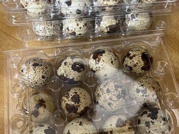 Selling with In-person Payment: Fresh Quail Eggs!