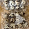 Selling with In-person Payment: Fresh Quail Eggs!