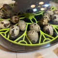 Selling with In-person Payment: Fresh Quail Eggs!