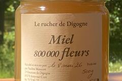 Les miels : Miel 800 000 fleurs - aux portes du Morvan