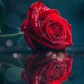 Selling: Psychic and tarot love reading within 2 hours 