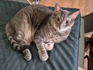   : Binky