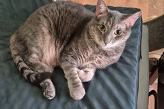   : Binky