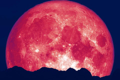 Selling: NEW! JUNE 2026 FULL MOON SPELL CASTING & READING SPECIAL DEAL!