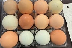 Selling with In-person Payment: FRESH FARM EGGS