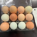 Selling with In-person Payment: FRESH FARM EGGS