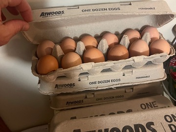 Selling with online payment: Farm fresh eggs 