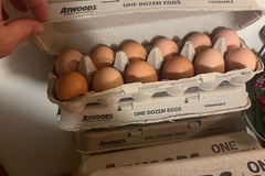 Selling with online payment: Farm fresh eggs 