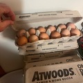 Selling with online payment: Farm fresh eggs 