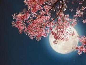 Selling: FULL MOON MAY READING ON HIS PERSPECTIVE OF SITUATION AND YOU 