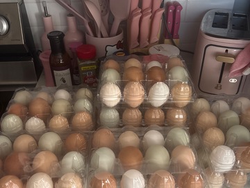 Selling with online payment: Fresh Eggs 