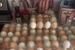 Selling with online payment: Fresh Eggs 