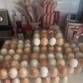 Selling with online payment: Fresh Eggs 