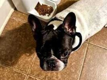   : Bax