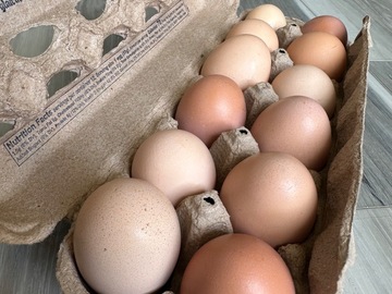Selling with In-person Payment: Farm fresh brown eggs