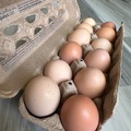 Selling with In-person Payment: Farm fresh brown eggs
