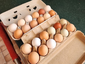 Selling with In-person Payment: Farm Fresh Eggs for sale