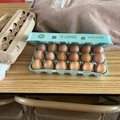 Selling with In-person Payment: Fresh chicken eggs