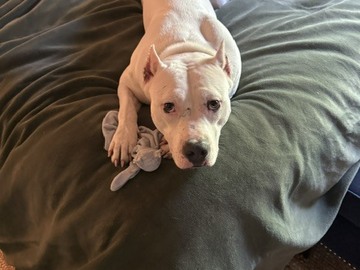   : Betsy