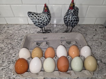 Selling with In-person Payment: Pasture Raise Eggs