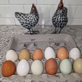 Selling with In-person Payment: Pasture Raise Eggs