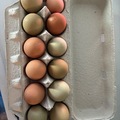 Selling with online payment: Littlechickboos