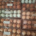 Selling with In-person Payment: Fresh eggs for sale