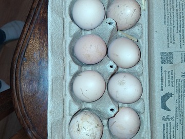 Selling with online payment: Farm Fresh Eggs