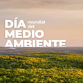 Radar: DIA DEL AMBIENTE