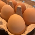 Selling with In-person Payment: Organic free range
