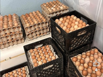 Selling with In-person Payment: Farm fresh eggs