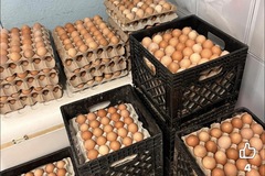 Selling with In-person Payment: Farm fresh eggs