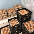 Selling with In-person Payment: Farm fresh eggs