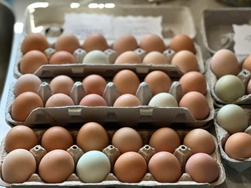 Selling with In-person Payment: Farm Fresh Free-Range Eggs | Collected Daily | Unwashed