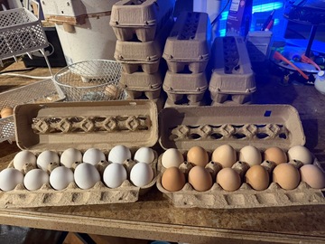 Selling with In-person Payment: Fresh Farm Eggs from Happy Hens