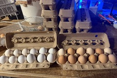 Selling with In-person Payment: Fresh Farm Eggs from Happy Hens