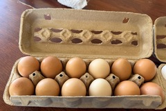 Selling with In-person Payment: Fresh Farm Eggs from Happy Hens