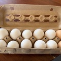 Selling with In-person Payment: Fresh Farm Eggs from Happy Hens