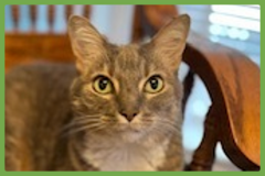  : Veruca