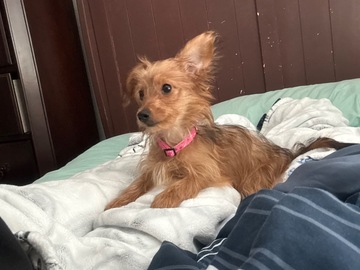   : Mila
