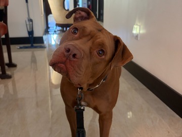   : Coco 