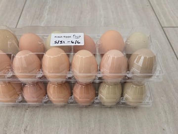Selling with online payment: Fresh chicken eggs 