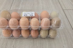 Selling with online payment: Fresh chicken eggs 