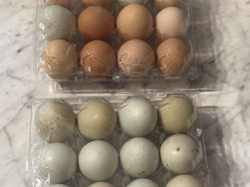 Selling with In-person Payment: Farm Fresh Free-Range Organic Eggs