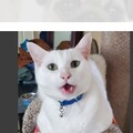   : Winter