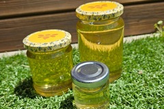 Les miels : Miel de printemps type Acacia