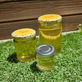 Les miels : Miel de printemps type Acacia