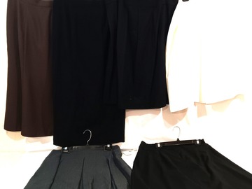 Bulk Lots: 10 Piece NWT Women Clothes Size 14 (L) MSRP $998.00